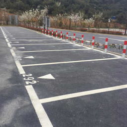 新聞 沙田哪里有 停車位劃線工程隊